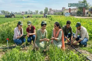 How to Get Rs. 70,000 Monthly Stipend Through the Punjab Agriculture Internship Program? Punjab Agriculture Internship Program